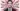 Jimmy Carr: Killing Jokes at Reading’s Hexagon, tickets on sale tomorrow